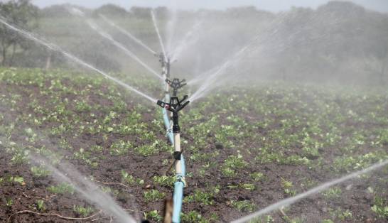 Regolamentare l'utilizzo razionale dell'acqua in ambito agricolo e nelle aree verdi urbane